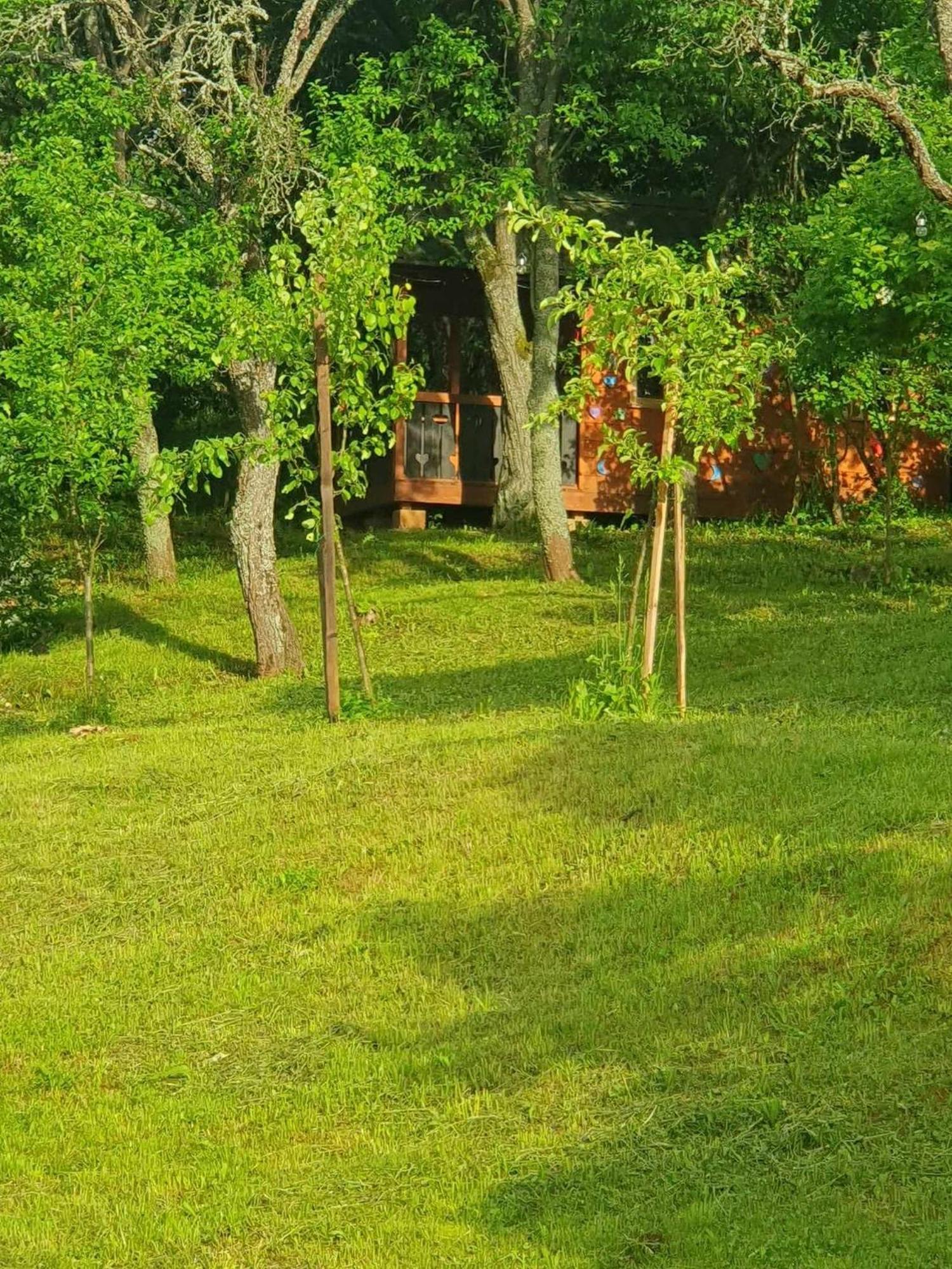 Apartments Sarika Dlhá Ves Dış mekan fotoğraf