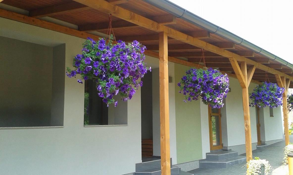 Apartments Sarika Dlhá Ves Dış mekan fotoğraf