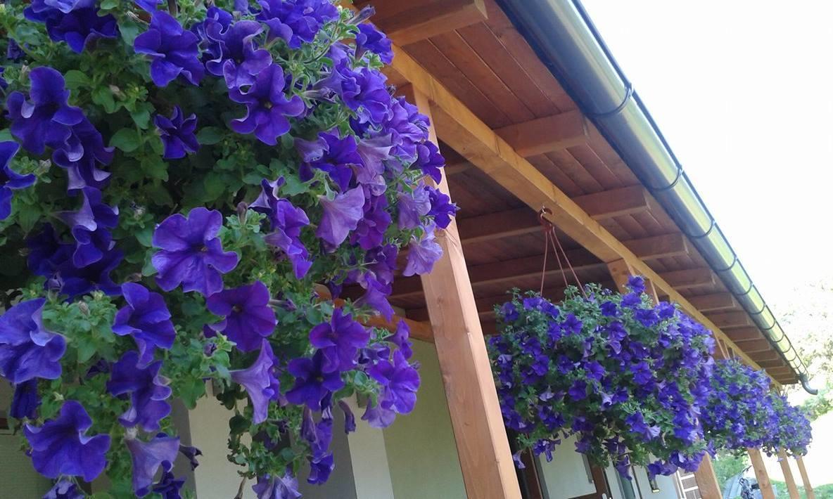 Apartments Sarika Dlhá Ves Dış mekan fotoğraf